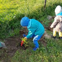 Dzieci sadzą drzewka
